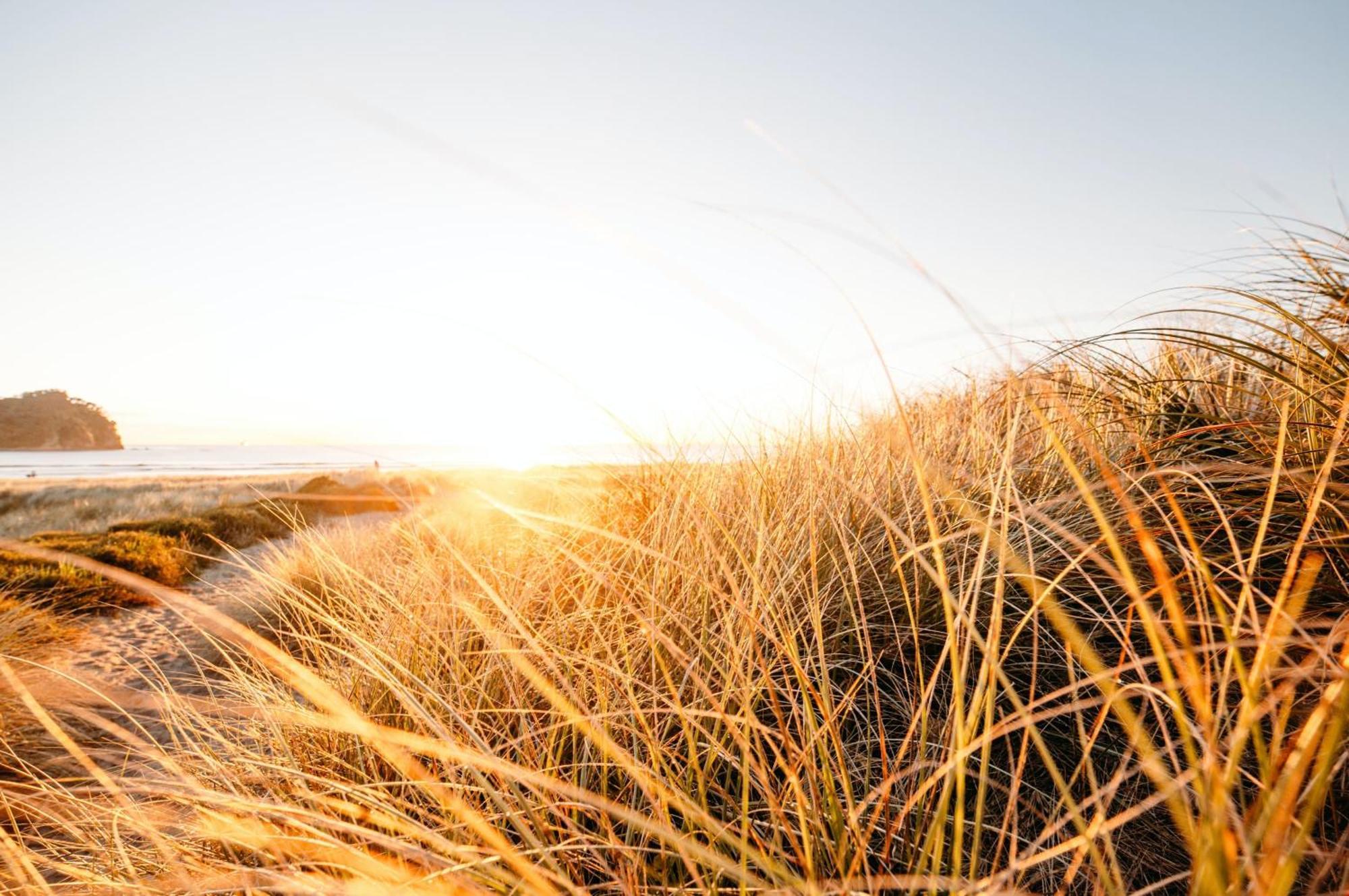 Willa Seaside Escape Mount Maunganui Zewnętrze zdjęcie